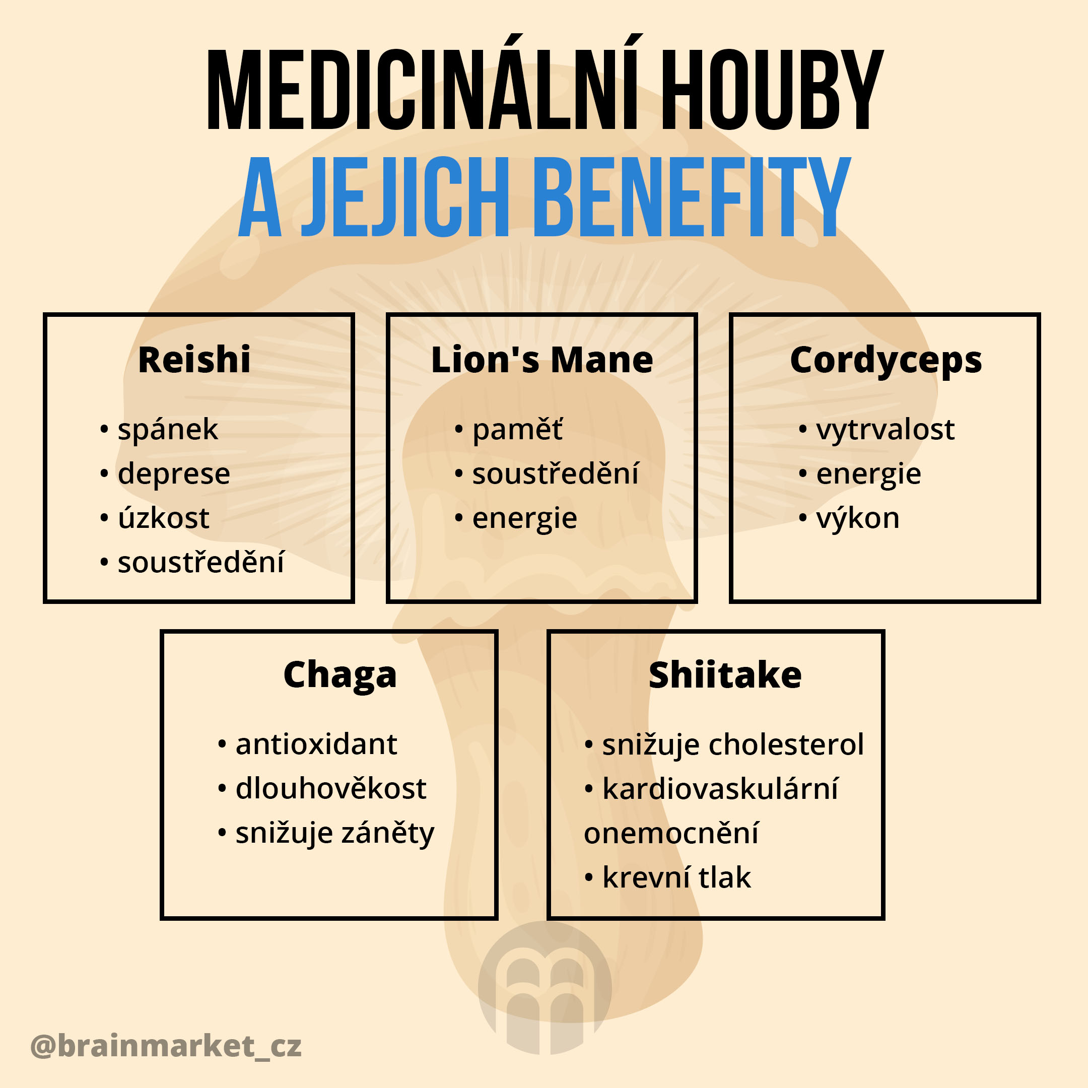 BrainMax Coffee Lion's Mane & Chaga, káva s vitálními houbami, BIO, 200g Obrázek