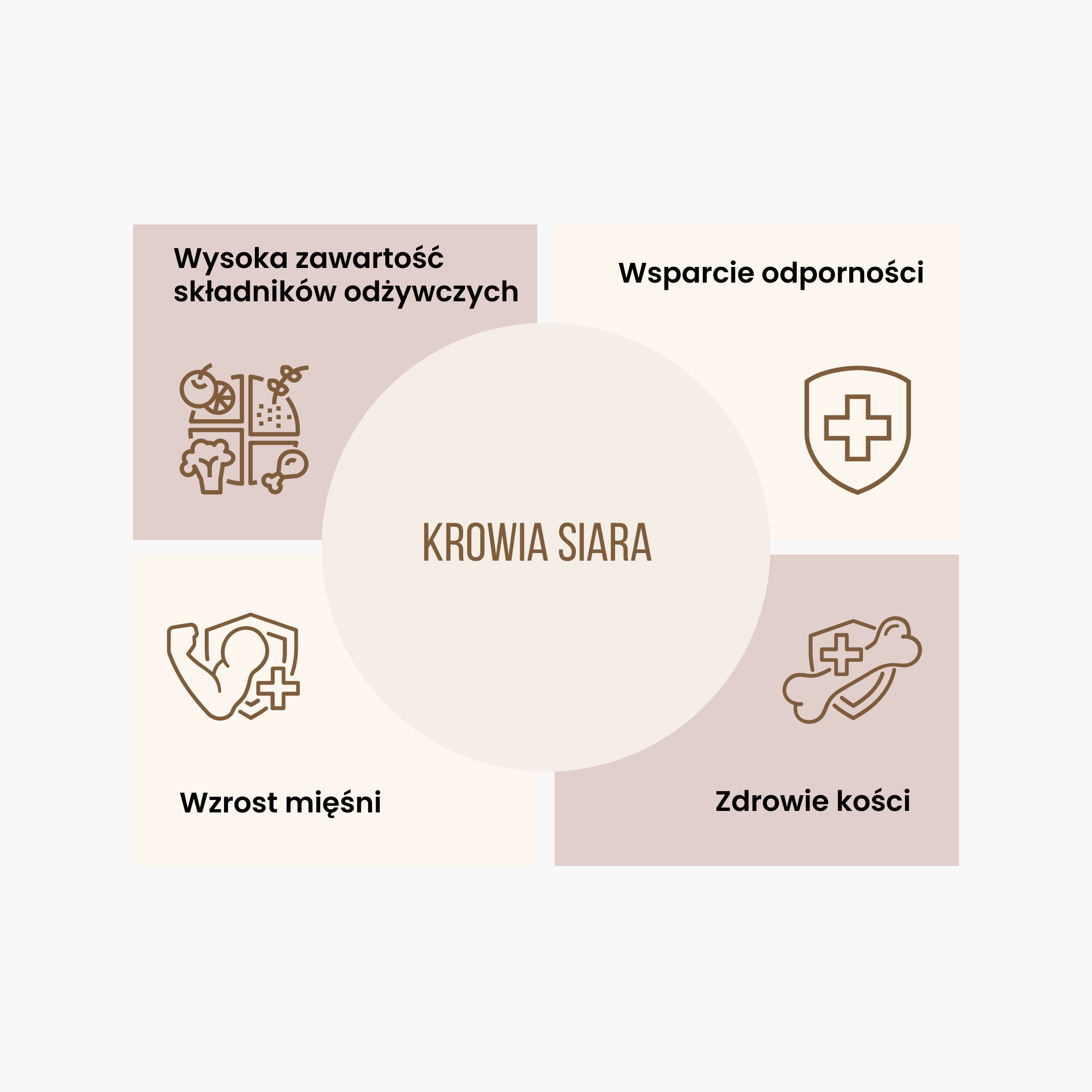 BrainMax Performance protein, nativní syrovátkový protein, čokoláda a banán, 30 g Obrázek
