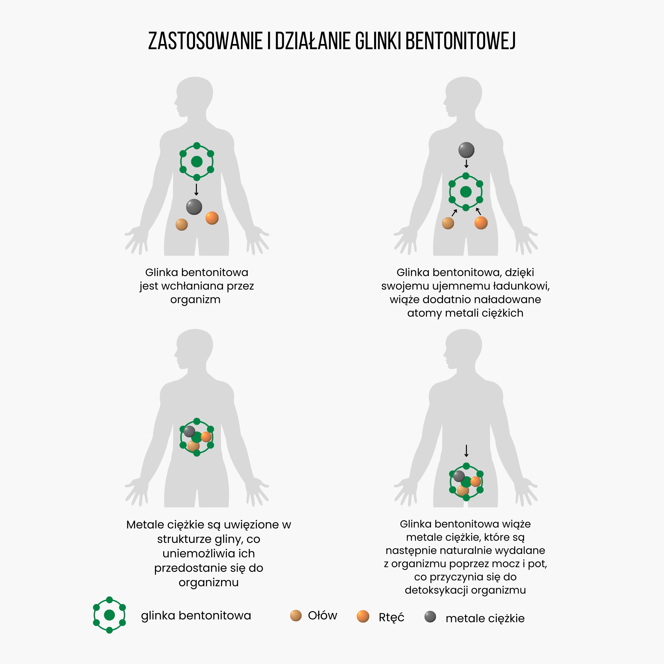 BrainMax Detoxer, prášek pro detoxikaci organismu, 90 g Obrázek