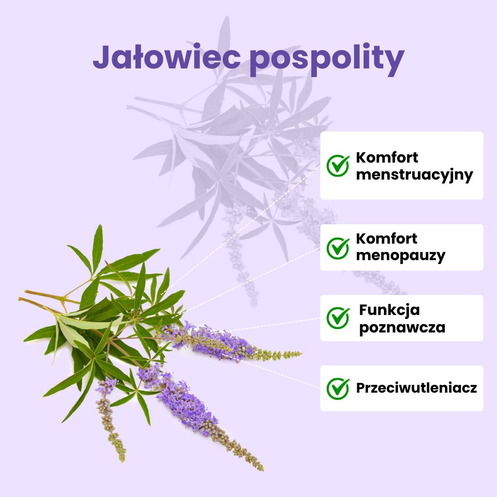BrainMax Women Menopause Support, podpora při menopauze, 90 rostlinných kapslí Obrázek