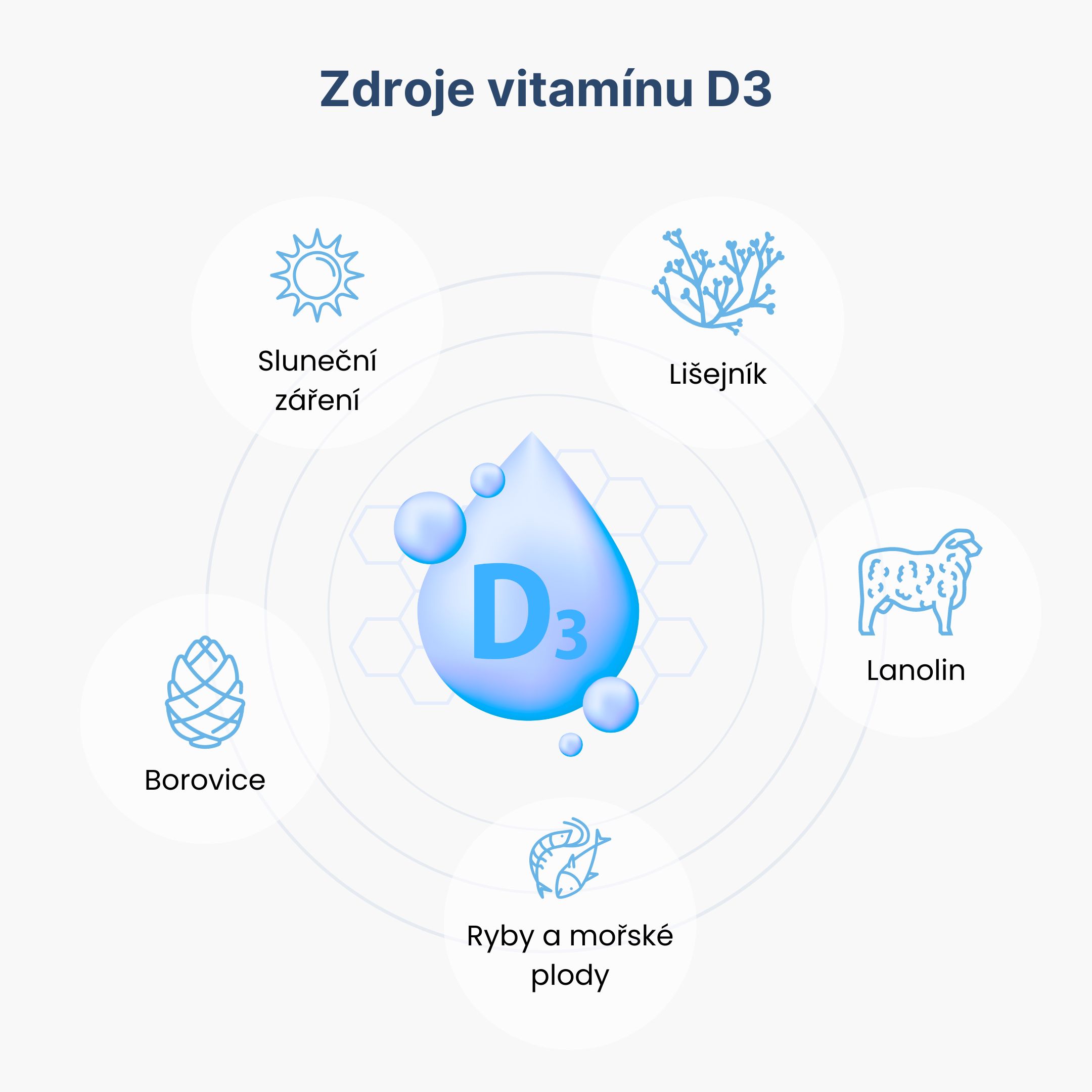 BrainMax Cholesterol Support, Řešení Cholesterolu, 100 rostlinných kapslí Obrázek