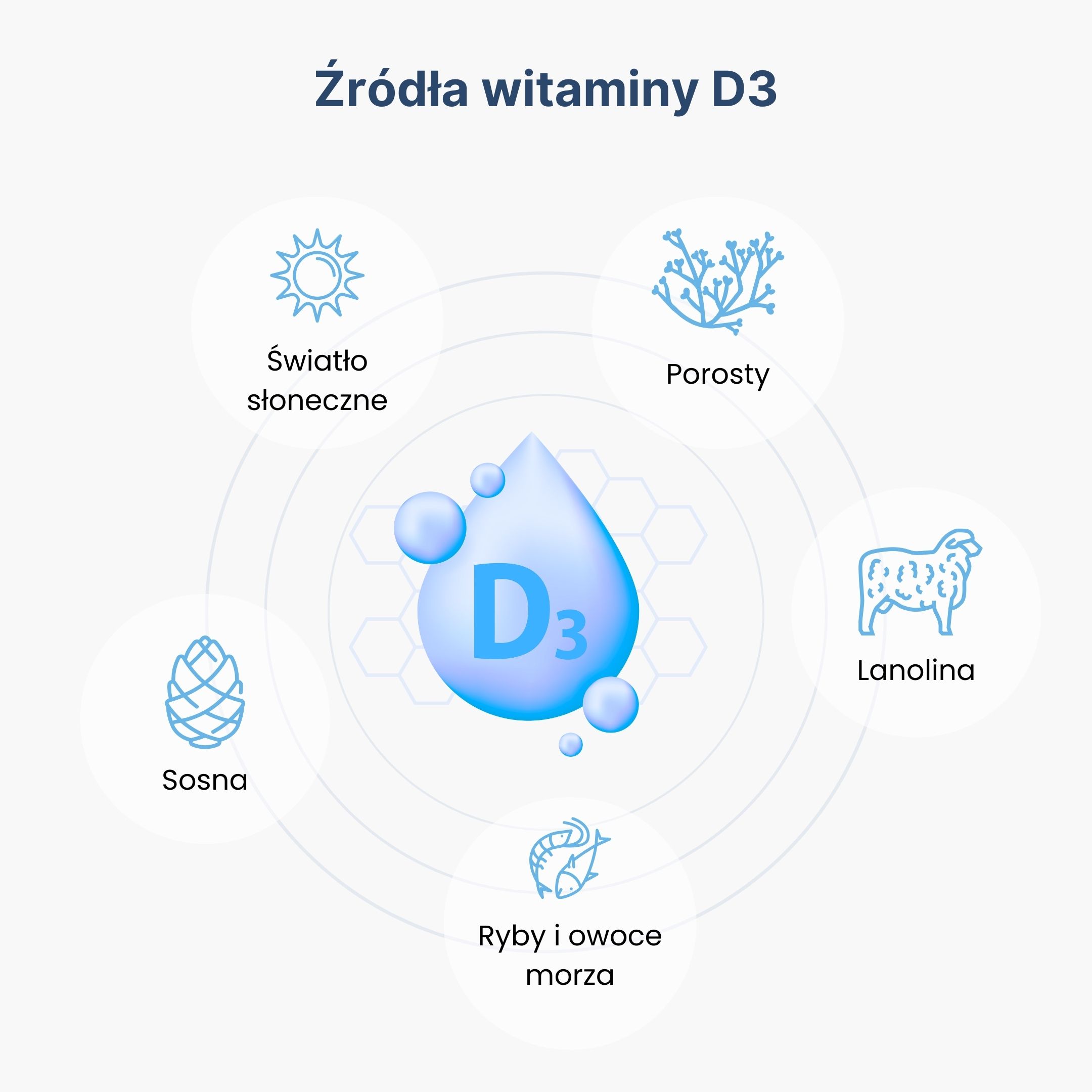 BrainMax Cholesterol Support, Řešení Cholesterolu, 100 rostlinných kapslí Obrázek