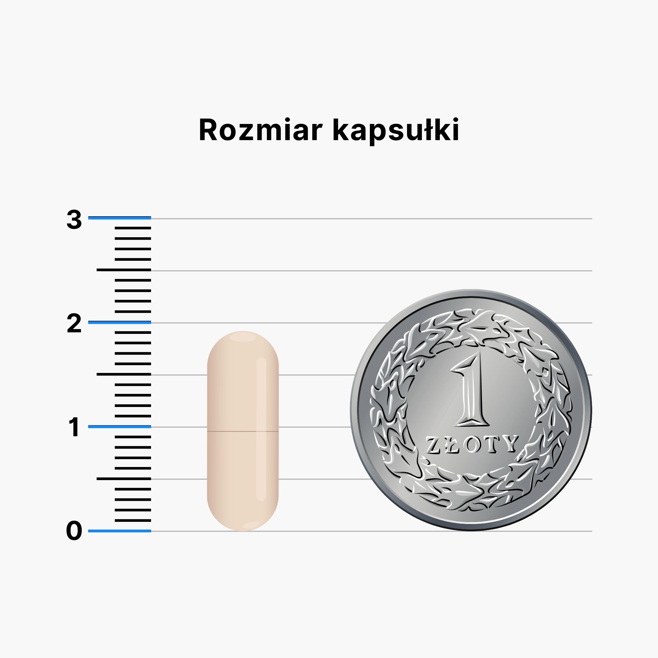 BrainMax Histamine Biotics, Histamin Probiotika, 60 enterosolventních kapslí Obrázek