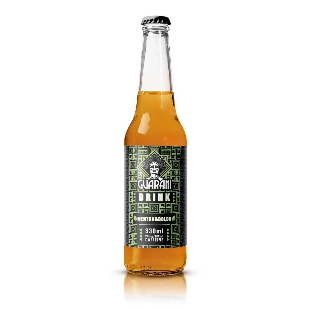 Fruit Drink Guarani – Ovocný nápoj s Yerbou Maté – Mentha & Boldo, 330 ml Obrázek