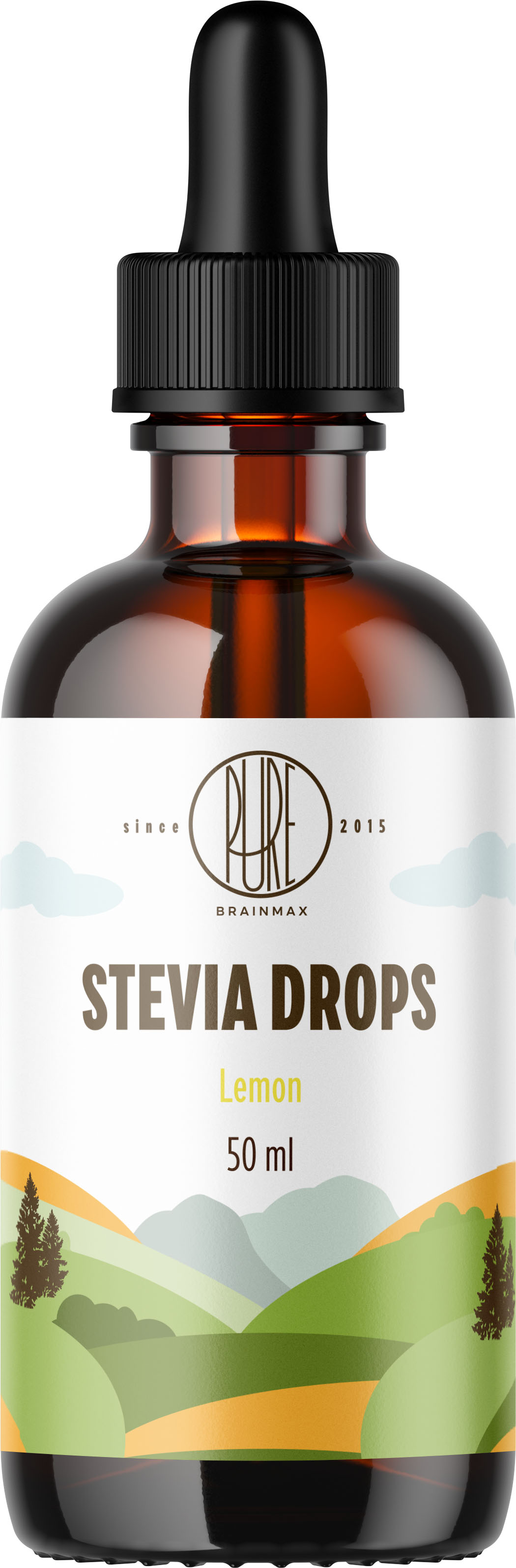 BrainMax Pure Stevia drops, Stévie kapky, různé druhy, 50 ml Příchuť: Máta Obrázek