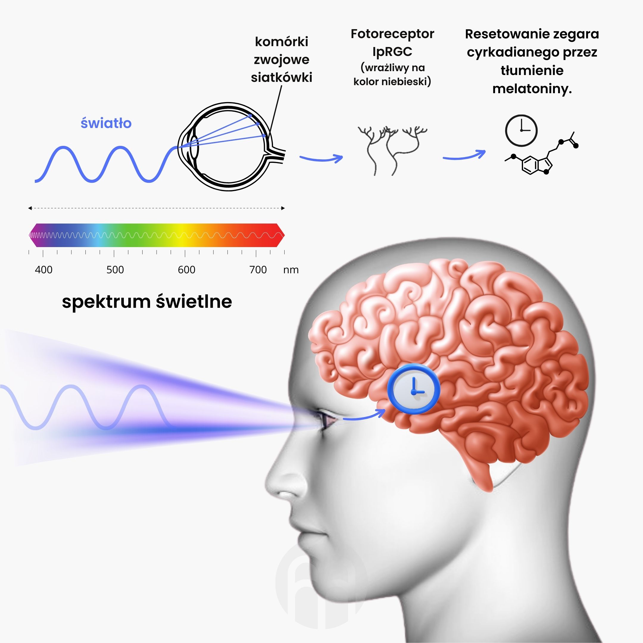 Žárovka BrainLight Amber Bulb, E14, 3 W, 1600 K Obrázek