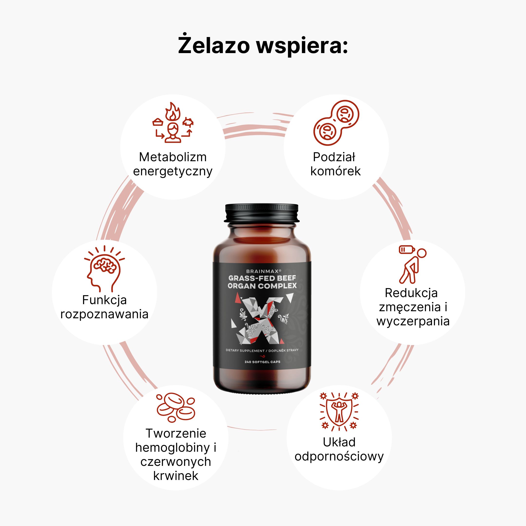 BrainMax Grass-Fed Beef Organ complex, hovězí orgány, 240 kapslí Obrázek