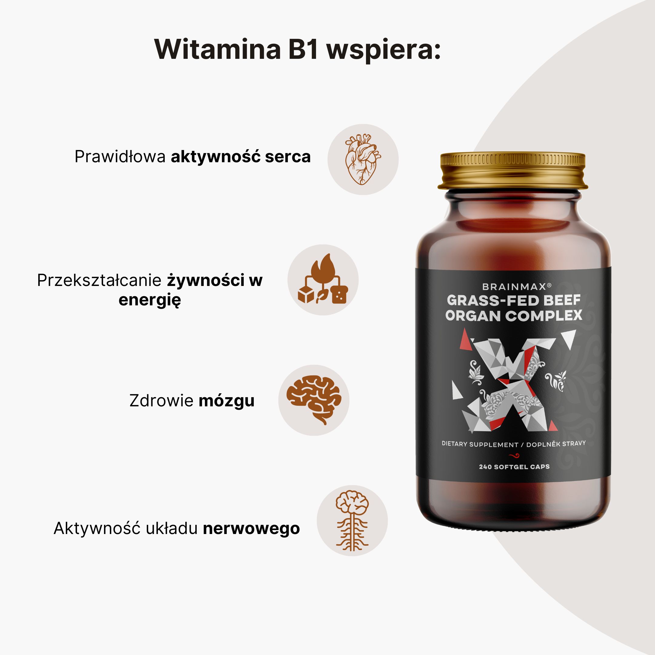 BrainMax Grass-Fed Beef Organ complex, hovězí orgány, 240 kapslí Obrázek