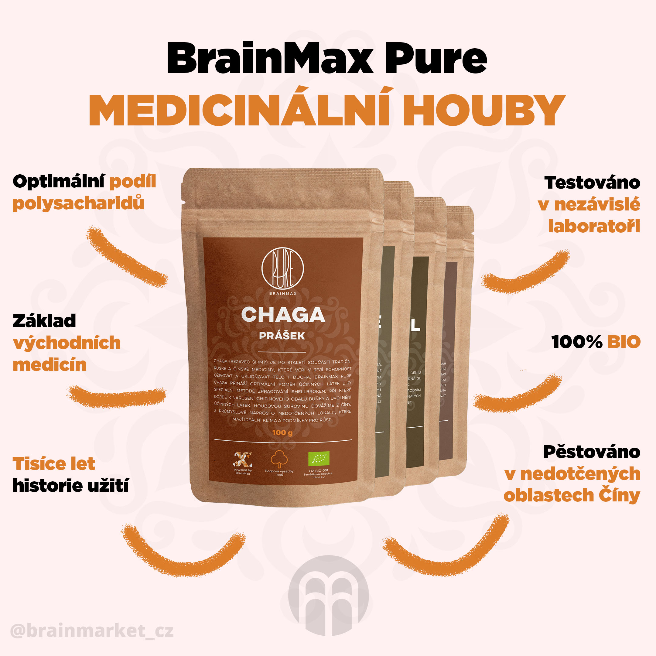 BrainMax Pure Chaga prášek, BIO 100g Obrázek