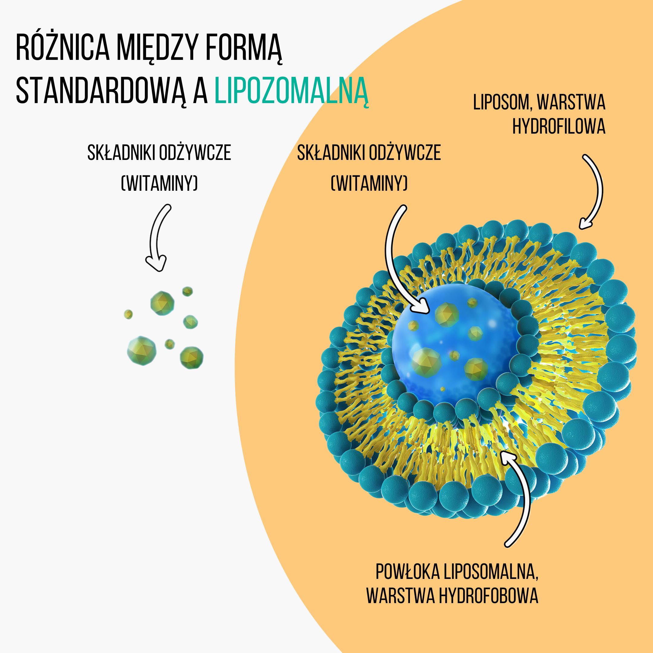 BrainMax Liquid Liposomal Vitamin C, Lipozomální Vitamín C, 250 ml Obrázek