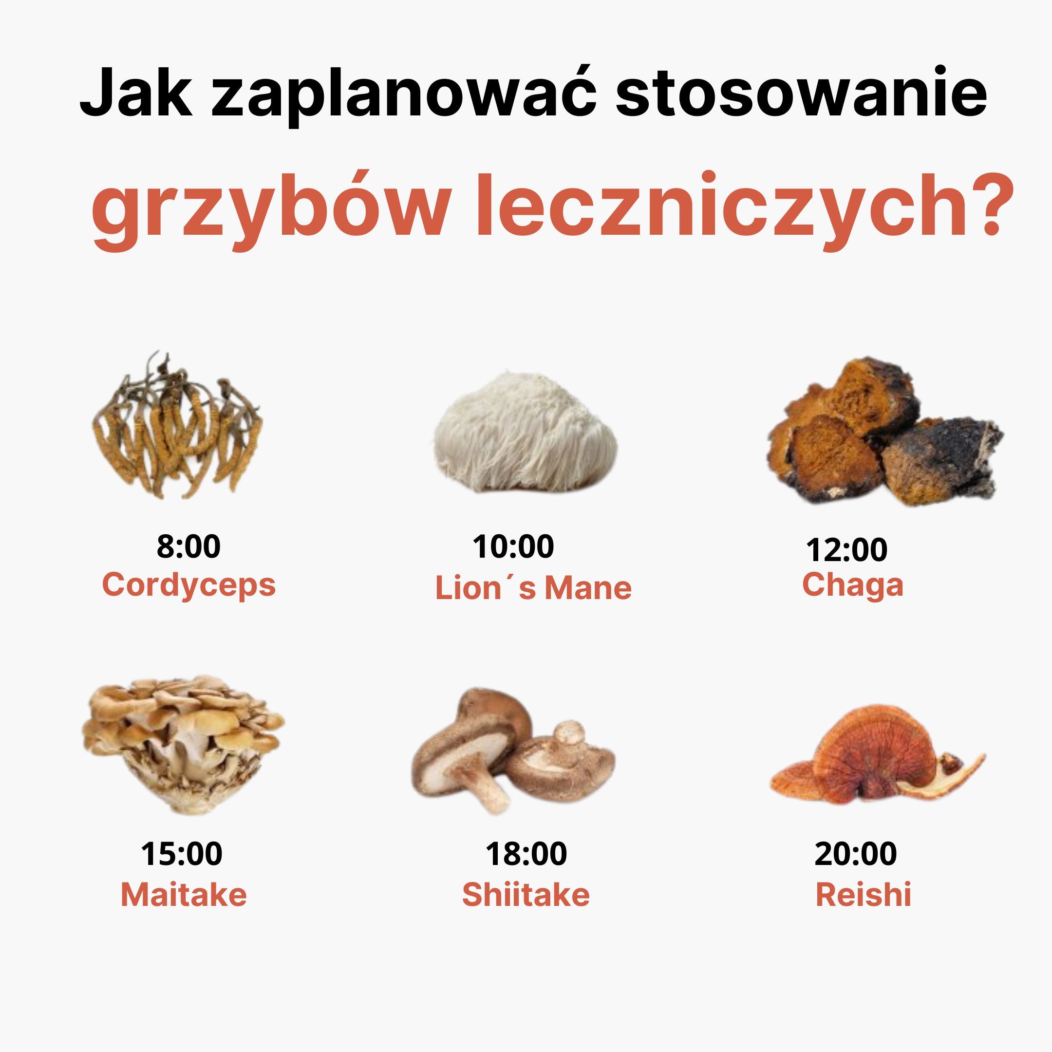 BrainMax Pure Lion's Mane (Hericium) prášek, BIO 100g Obrázek