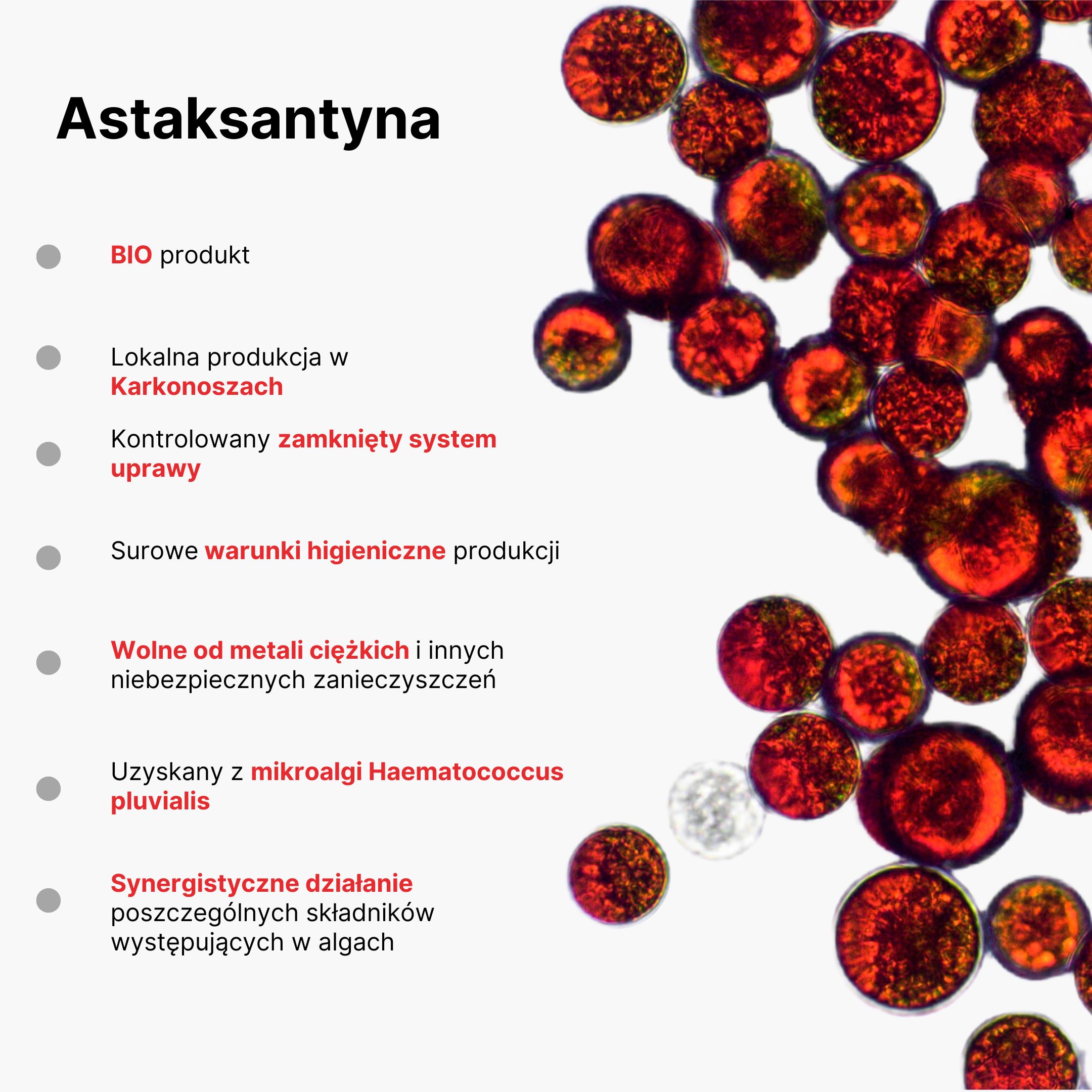 BrainMax Fish Oil & Astaxanthin, Super Omega 3, 275 ml Obrázek