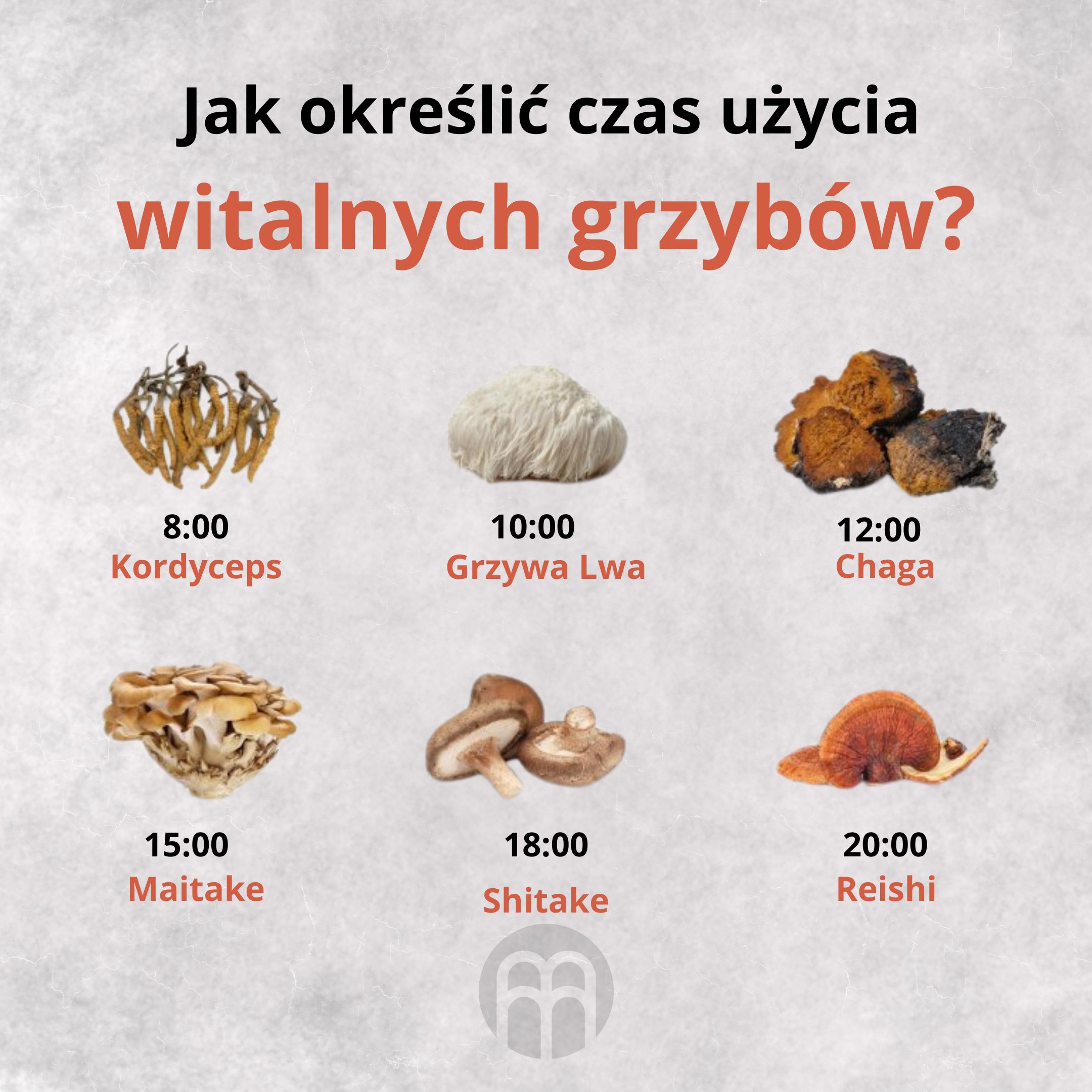 BrainMax Pure Maitake prášek BIO, 100g Obrázek