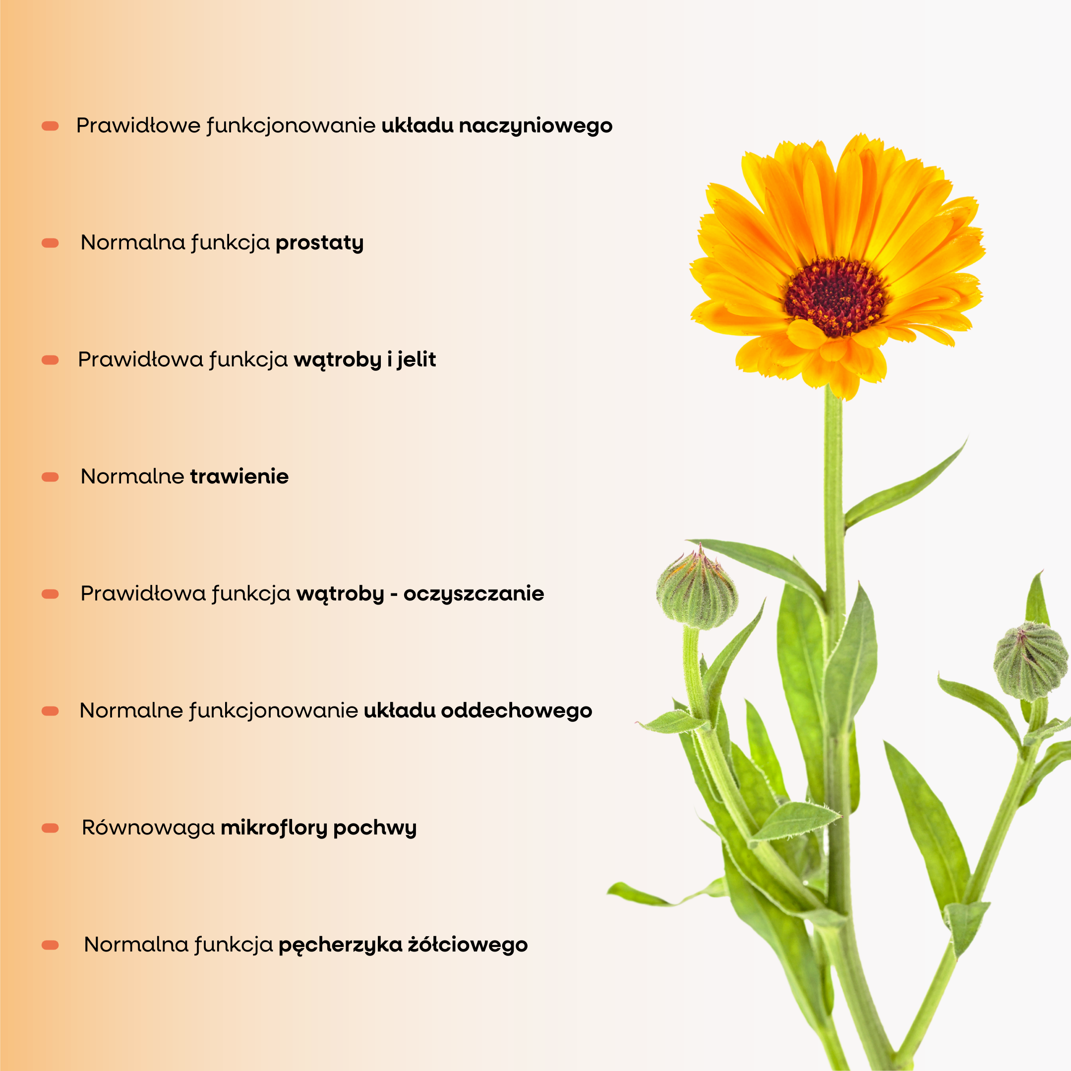 BrainMax Astaxanthin Complex, 60 rostlinných kapslí Obrázek