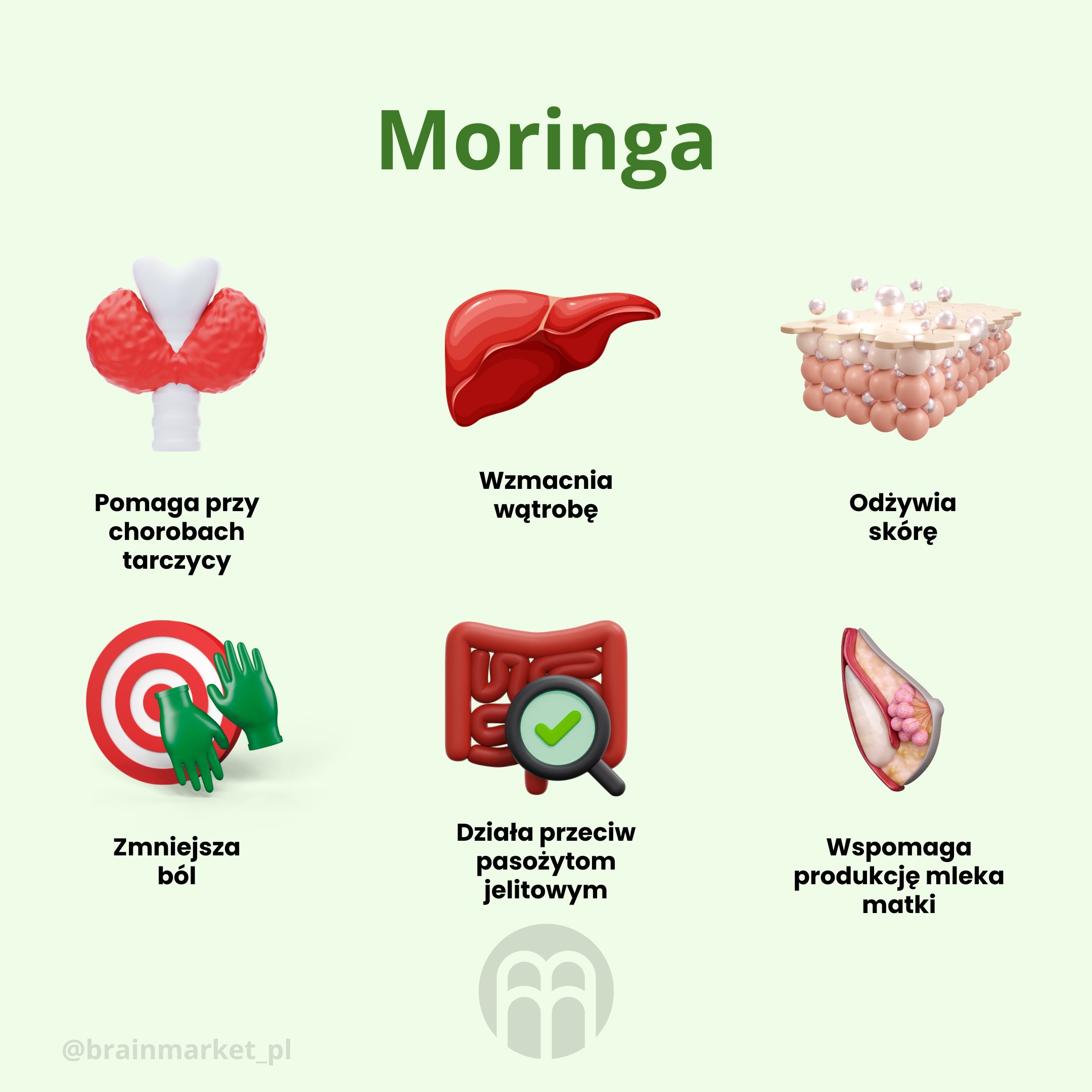 BrainMax Pure Moringa BIO prášek, 100 g Obrázek