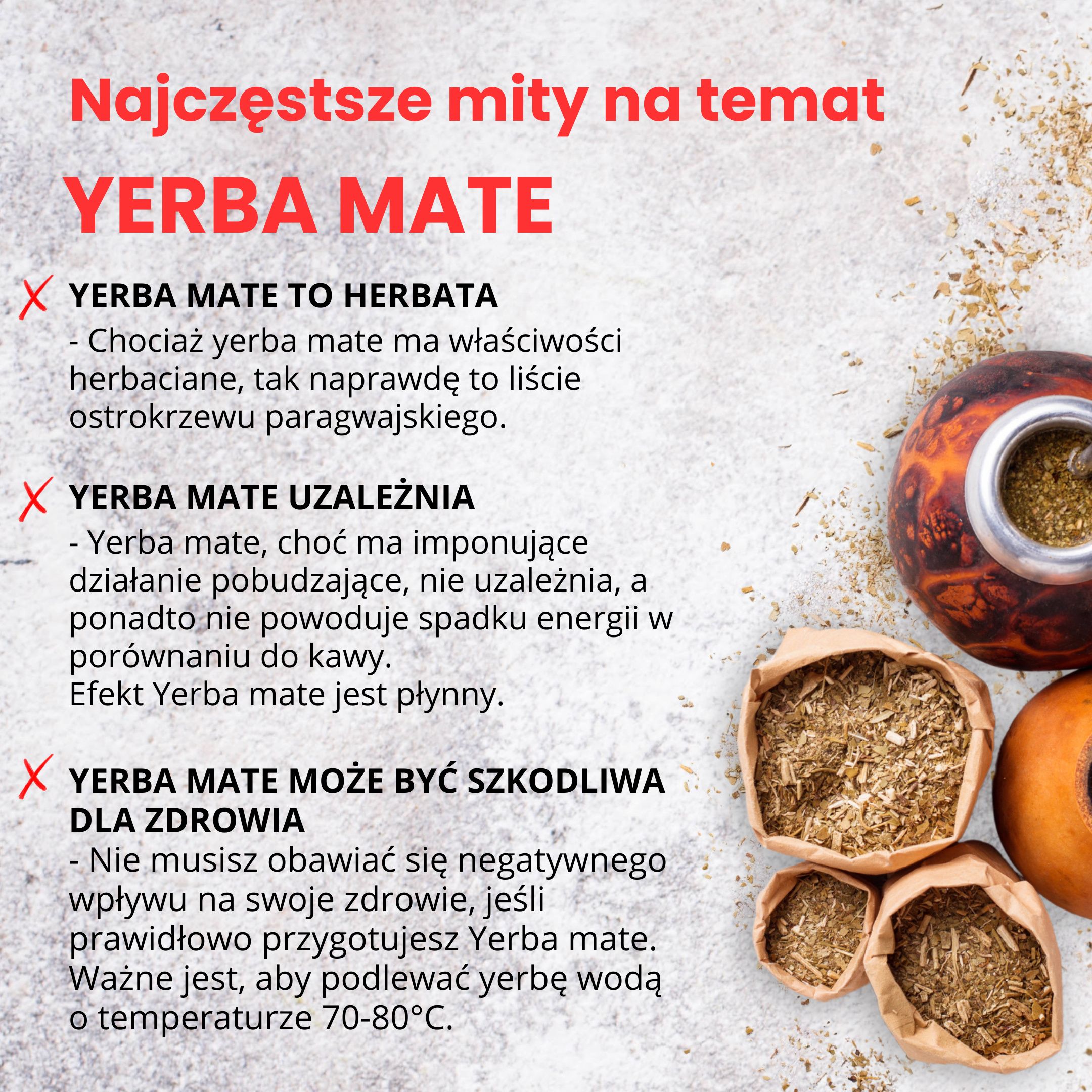 BrainMax Pure Yerba Maté, Detox, 500 g Obrázek