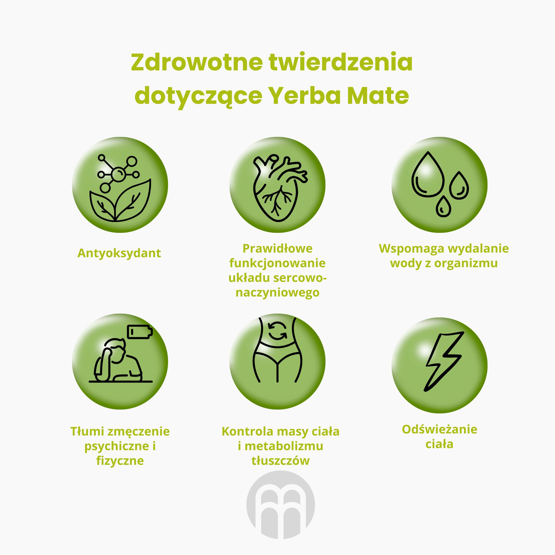 BrainMax Pure Yerba Maté, Detox, 500 g Obrázek