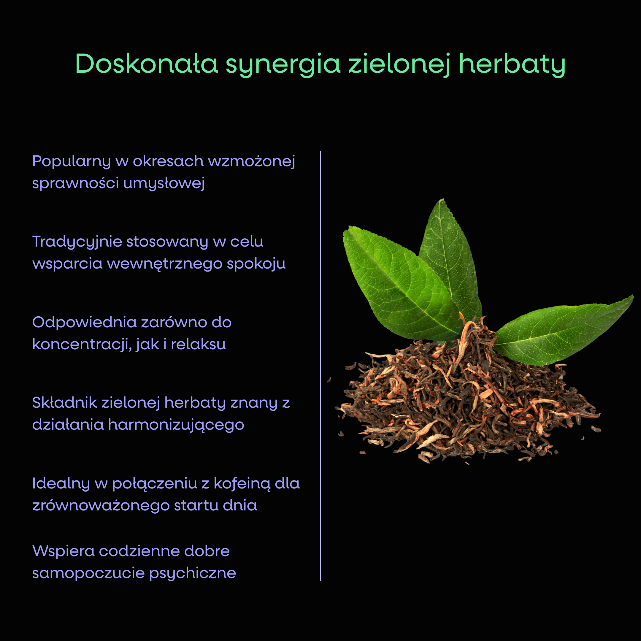 BrainMax Natural  L-Theanine, 100 kapsułek roślinnych (zdjęcie 3)