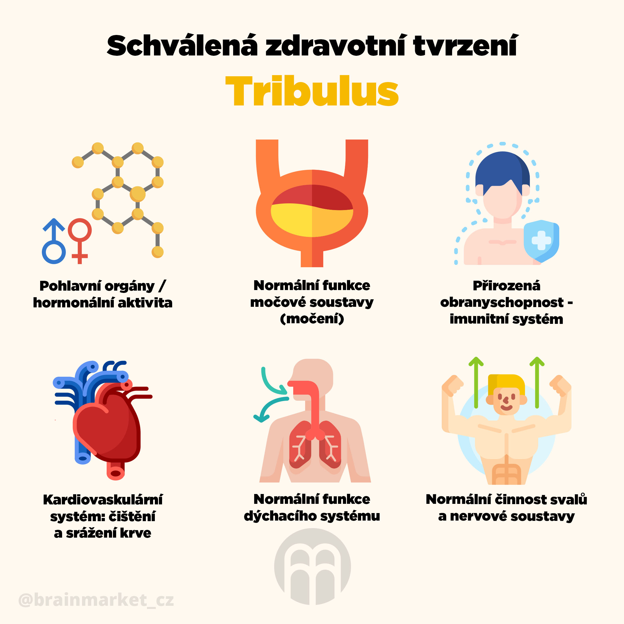 BrainMax Pure Tribulus, Kotvičník zemní, tinktura 1:3, 100 ml Obrázek