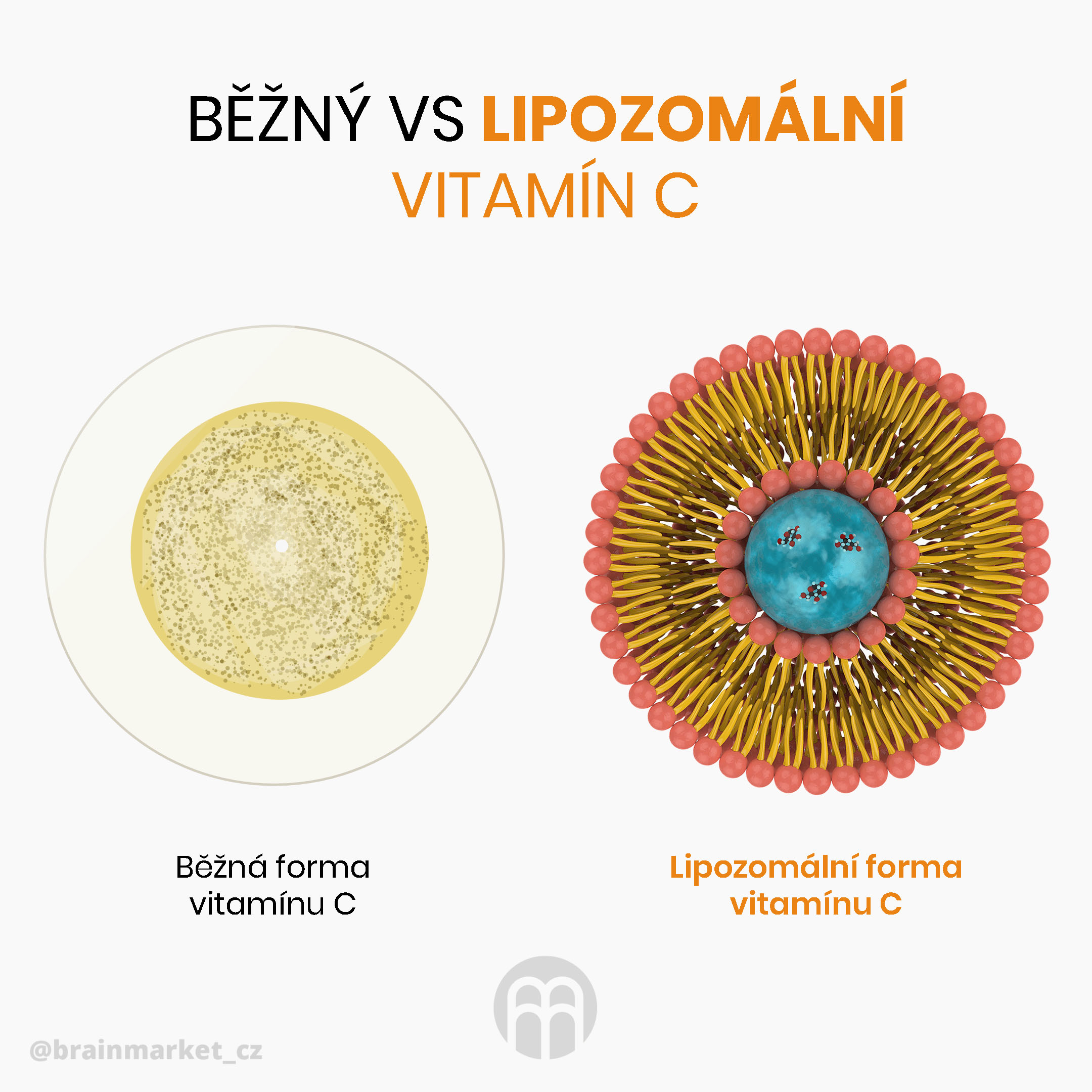 BrainMax Men Multivitamin, multivitamín pro muže, 90 rostlinných kapslí (zdjęcie 9)
