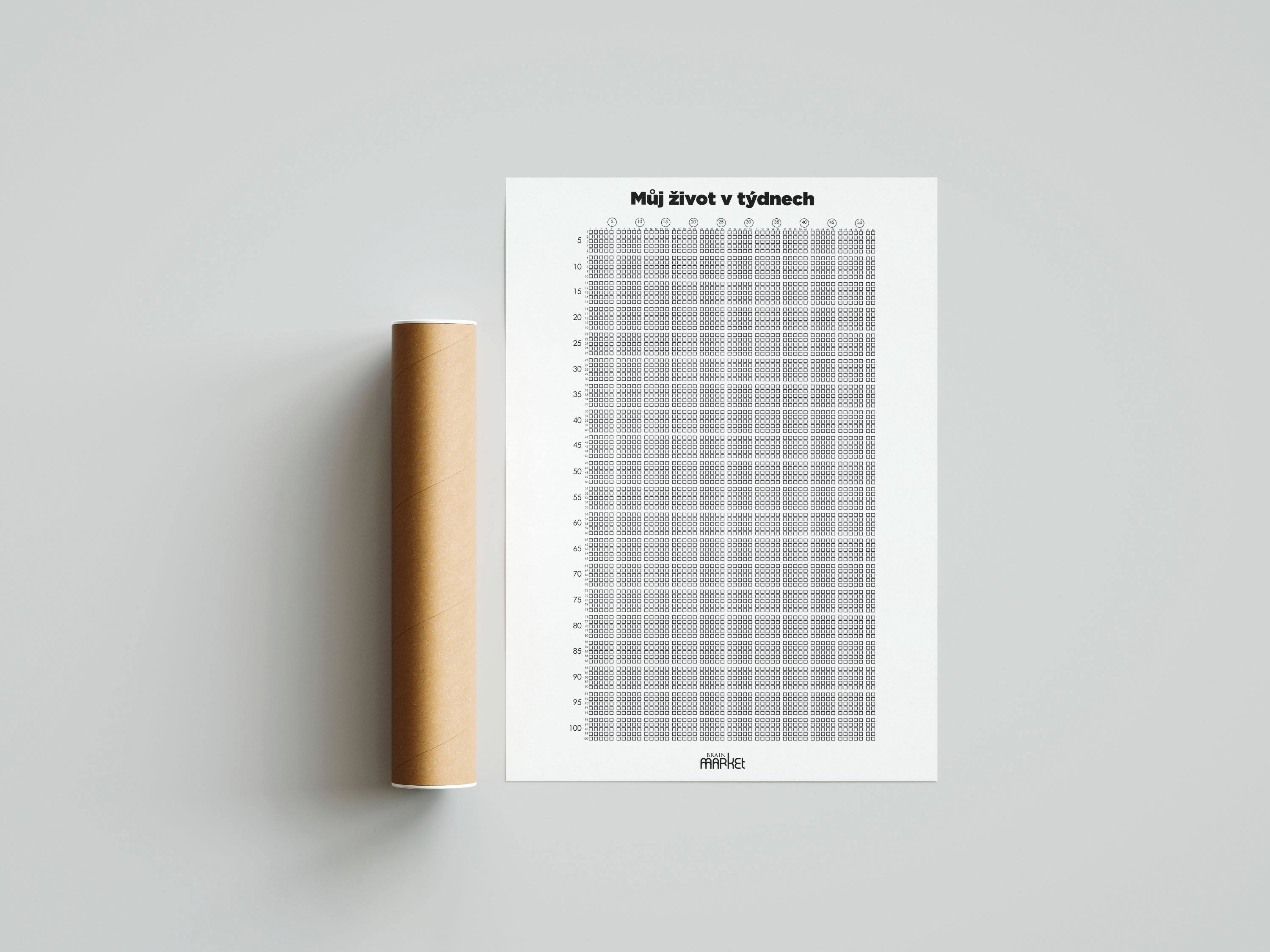 BrainMax Můj život v týdnech Obrázek