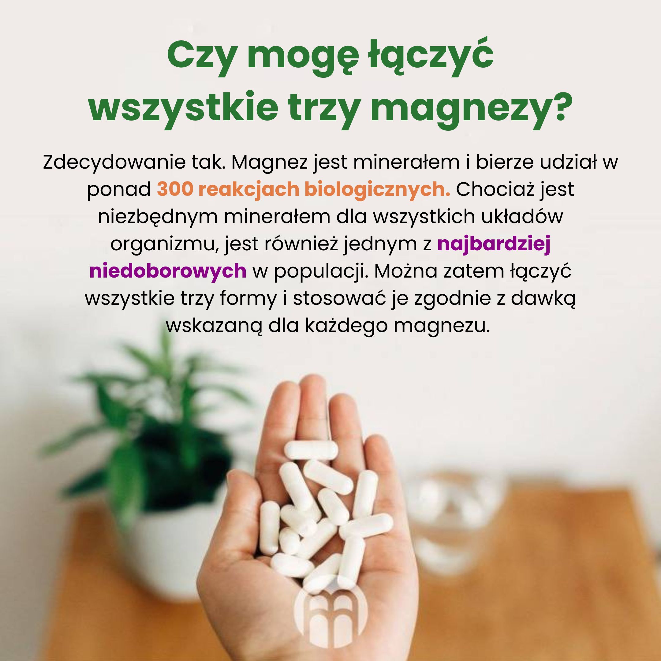 Performance Magnesium 1000 mg 100 tbl. (Hořčík + Vitamín B6) Obrázek