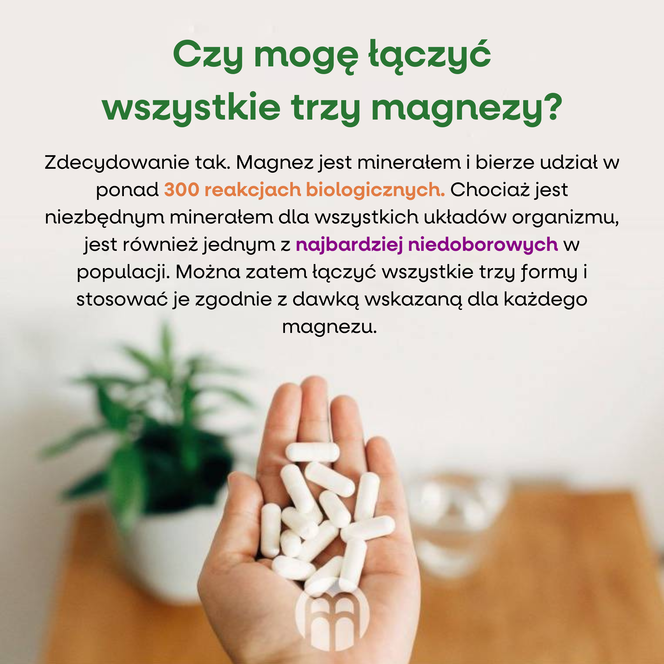 Performance Magnesium 1000 mg 100 tbl. (Hořčík + Vitamín B6) Obrázek