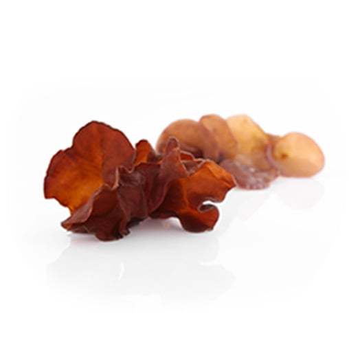 MycoMedica Auricularia 90 tablet Obrázek