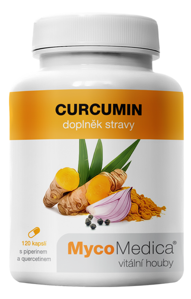 MycoMedica Curcumin v optimální koncentraci 120 tablet