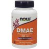 NOW DMAE, dimetyloaminoetanol, 250 mg, 100 kapsułek