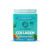 Sunwarrior Collagen Builder, 500g - Naturalny