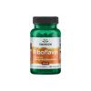 Swanson Ryboflawina Witamina B-2, 100 mg, 100 kapsułek