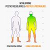 26145 8 brainmax immunizer 60 kapsulek roslinnych
