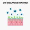 26145 9 brainmax immunizer 60 kapsulek roslinnych