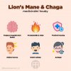 Lion's Mane & Chaga Infografika BrainMarket CZ