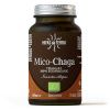 1.HIF Mico Chaga Bio 70 kapslí 54029