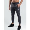 Męskie spodnie sportowe BrainMax BASIC w kolorze szarym