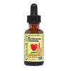 ChildLife Essentials Echinacea, pomarańczowy, 30 ml