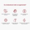 (Polština) Co má v těle na starost cholesterol (1)