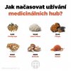 jak nacasovat uzivani medicinalnich hub CZ Infografika BrainMarket 2