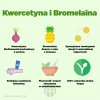 brainmax kvercetin a bromelain infografika brainmarket pl