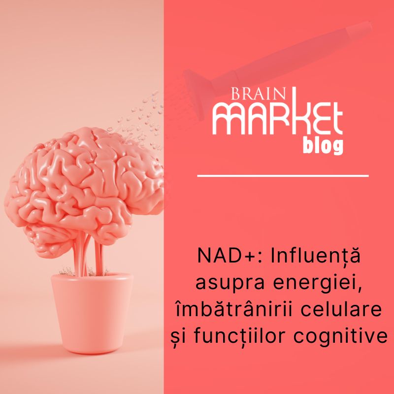 NAD și efectele sale pozitive asupra corpului nostru