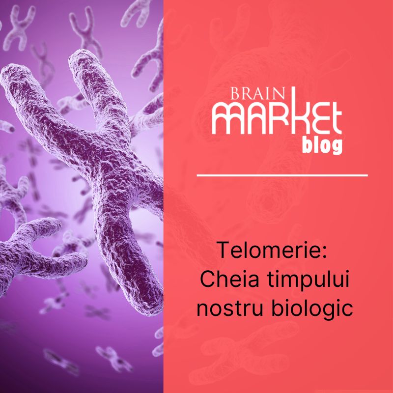 Telomere: Cheia timpului nostru biologic