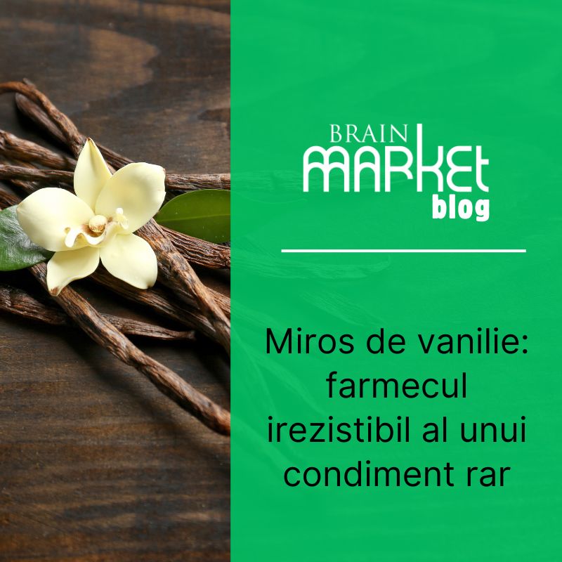 Parfumul de vanilie: Farmecul irezistibil al unui condiment prețios