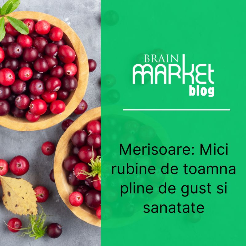 Afine: Rubinele mici ale toamnei pline de gust și sănătate