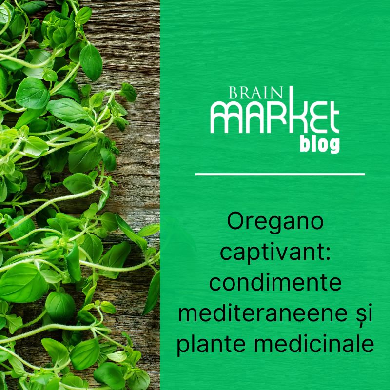 Oregano captivant: Condiment mediteranean și plantă medicinală