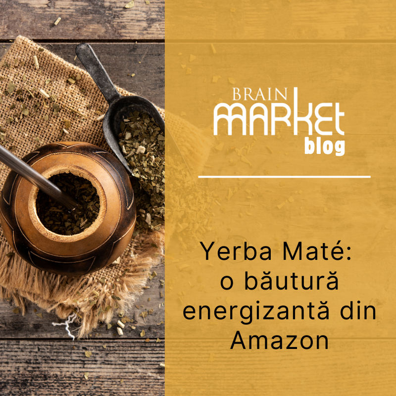 Yerba Mate: Băutura energiei și tradiției