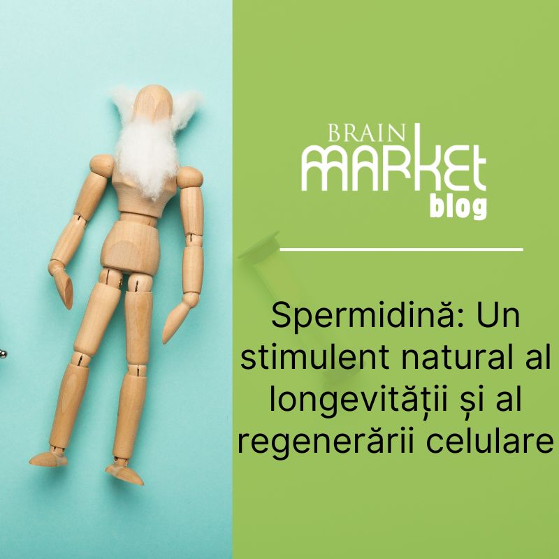 Spermidină: Stimulent natural al longevității și regenerării celulare