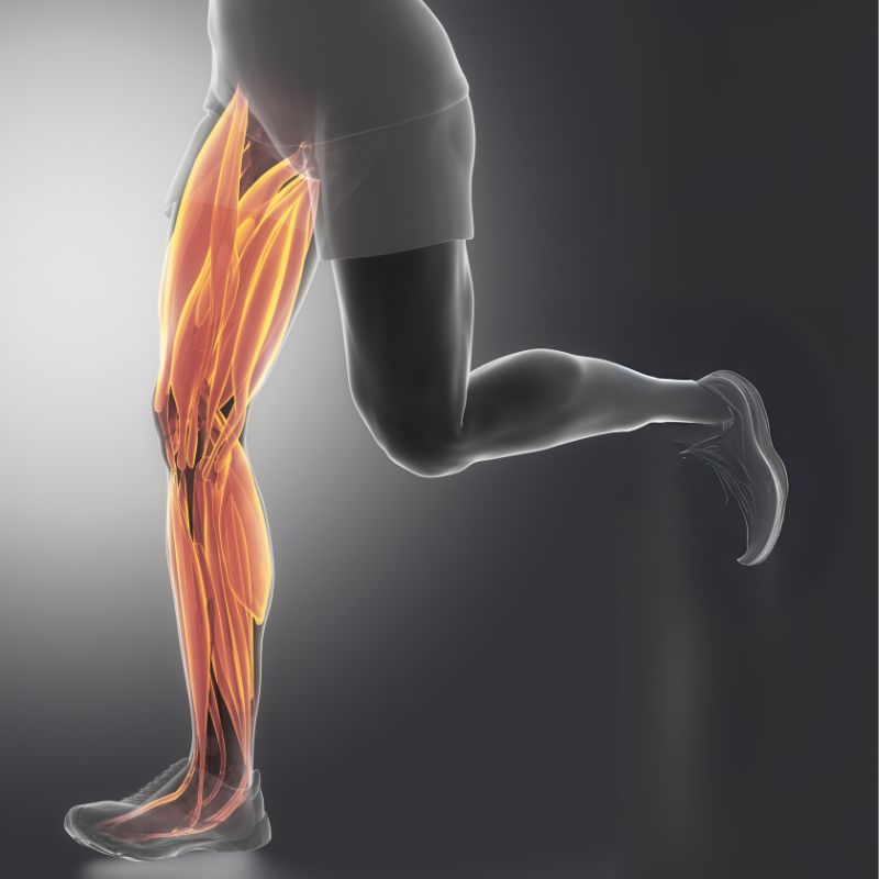 Febră musculară: Ce o cauzează și cum să o ameliorați?