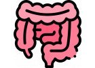 Sănătatea intestinului și digestia
